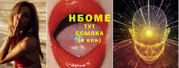прущий лед Алзамай